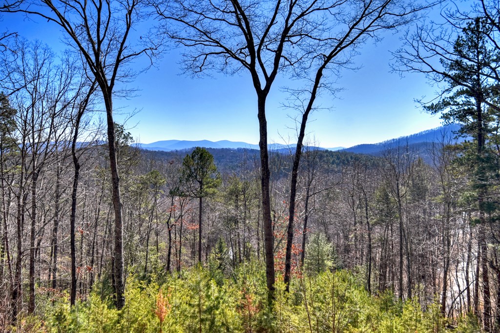 78 Brass Hill Road Blue Ridge, GA 30513 - Photo 3 of 44 a view of a yard with large trees