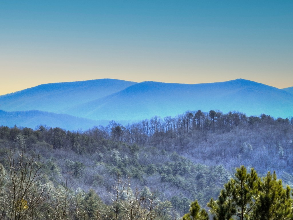 78 Brass Hill Road Blue Ridge, GA 30513 - Photo 4 of 44 a view of mountain and tree in a field
