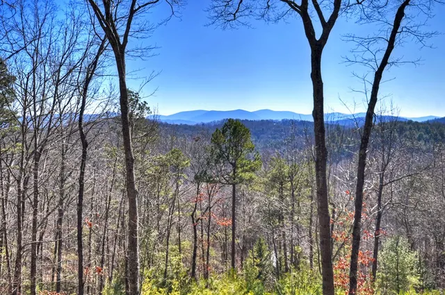 $725,000 | 78 Brass Hill Road, Blue Ridge, GA 30513