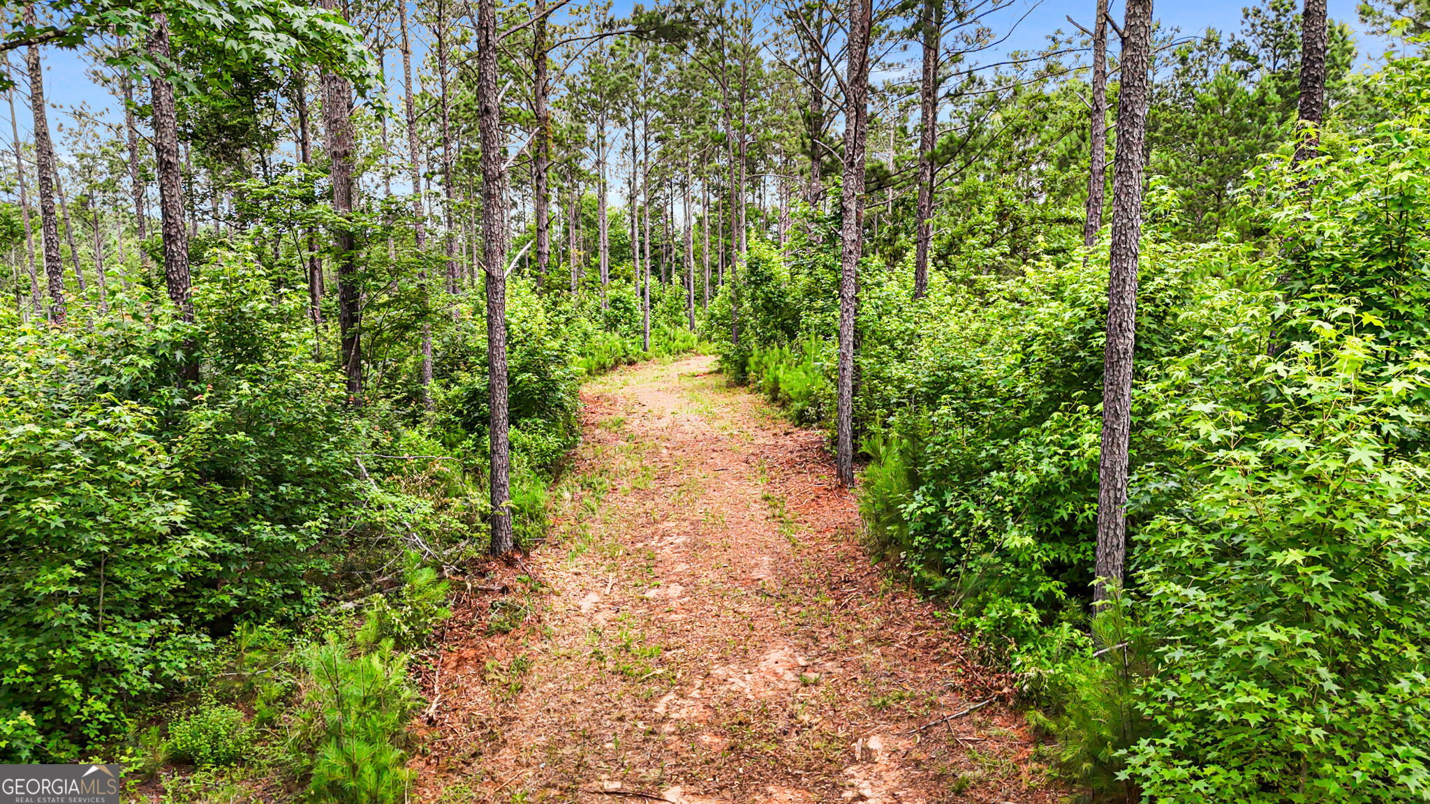 0 Howard Road Roberta, GA 31078 - Photo 14 of 14