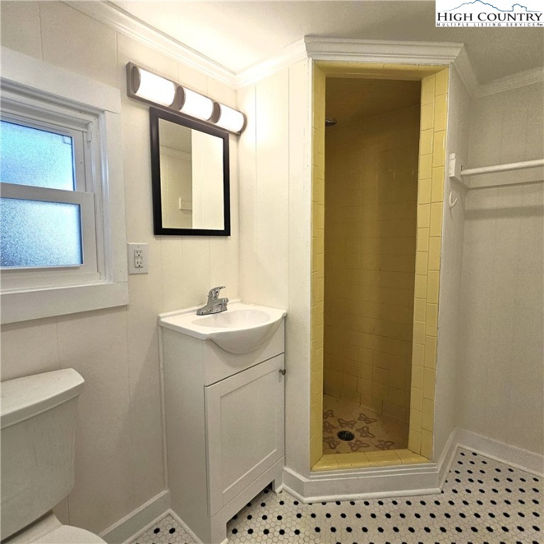 254 Green Street Boone, NC 28607 - Photo 45 of 48 a bathroom with a sink a toilet and shower