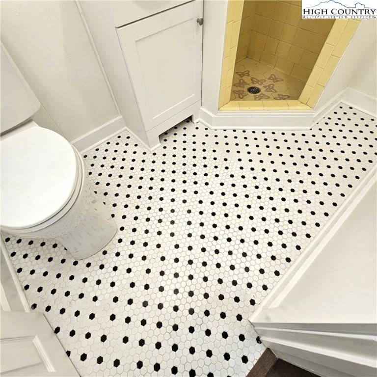 254 Green Street Boone, NC 28607 - Photo 46 of 48 a bathroom with a sink a toilet and a mirror