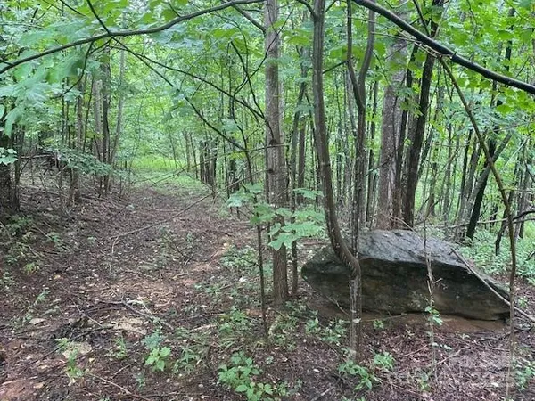 an aerial view of a houses with yard
