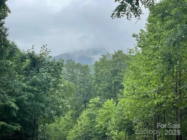 a view of a garden with a patio