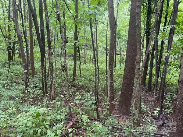 a view of outdoor space and green space