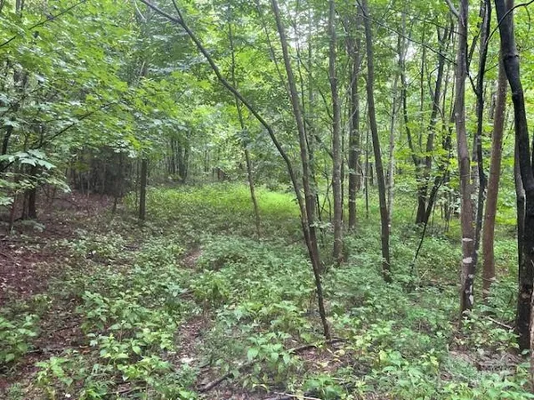 $275,000 | 0 Cherry Hill St Mill Spring, Mill Spring, NC 28756