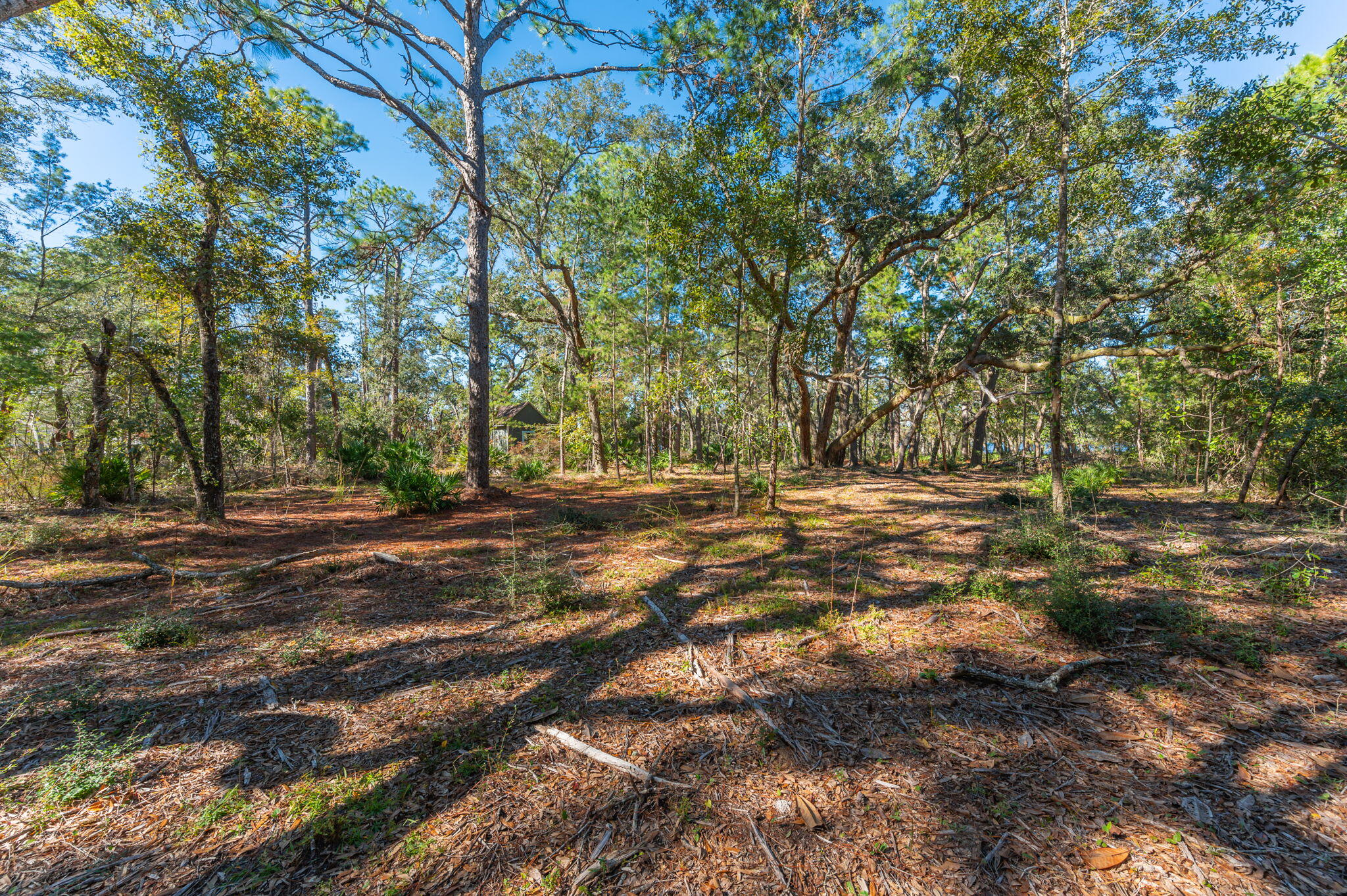 1 Acre /- Holly Point Road Freeport, FL 32439 - Photo 12 of 21 IMG_6548