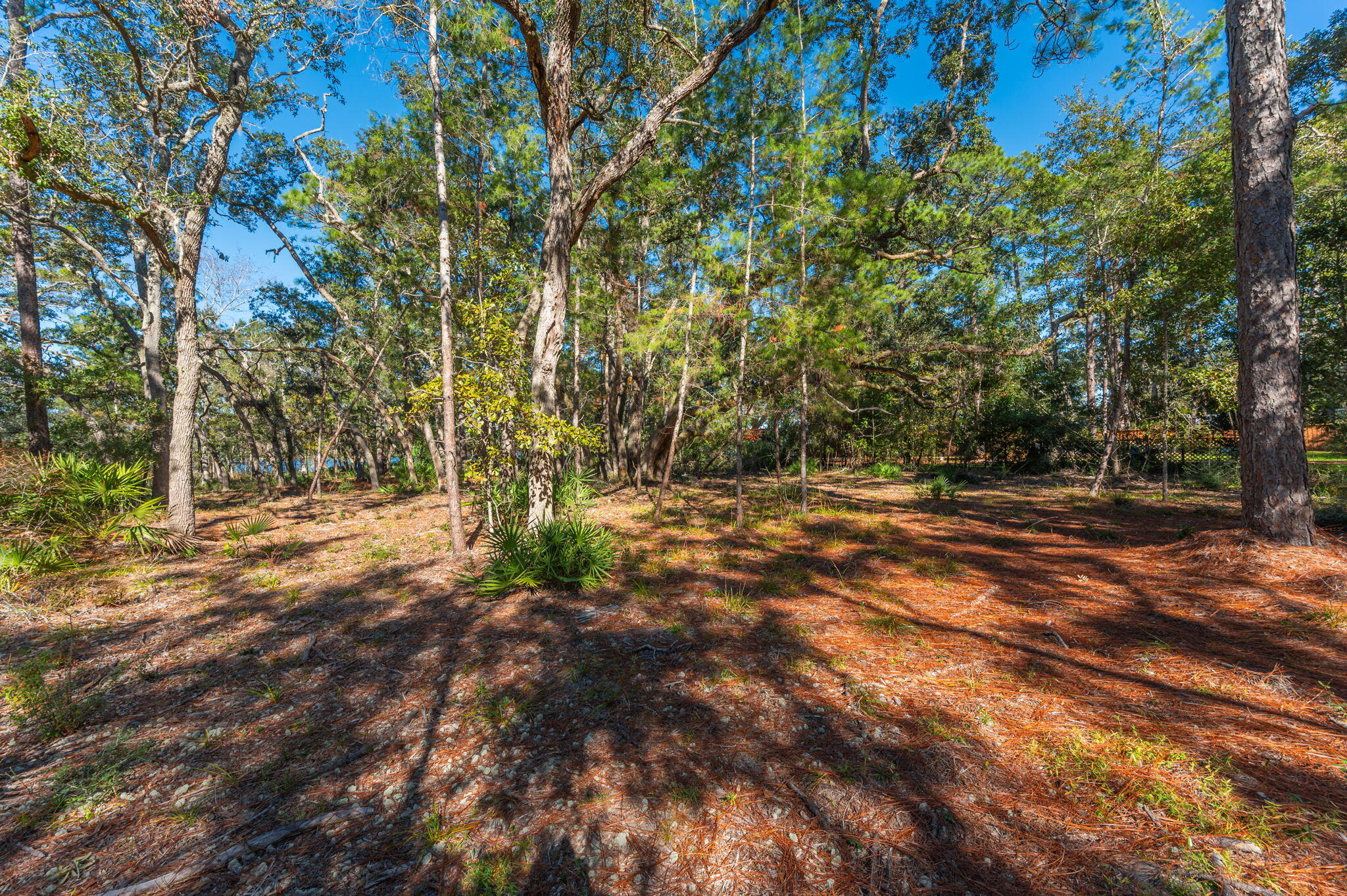 1 Acre /- Holly Point Road Freeport, FL 32439 - Photo 13 of 21 IMG_6549