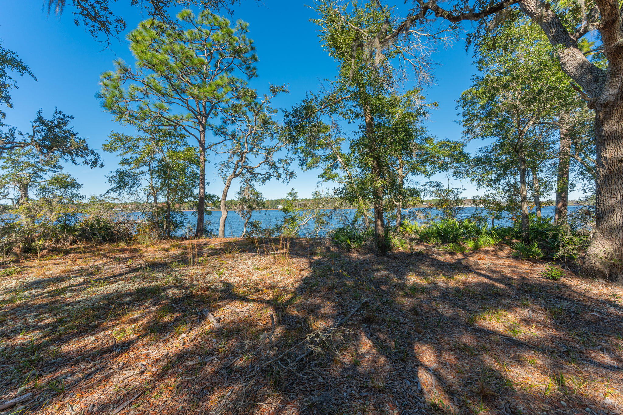 1 Acre /- Holly Point Road Freeport, FL 32439 - Photo 16 of 21 IMG_6553