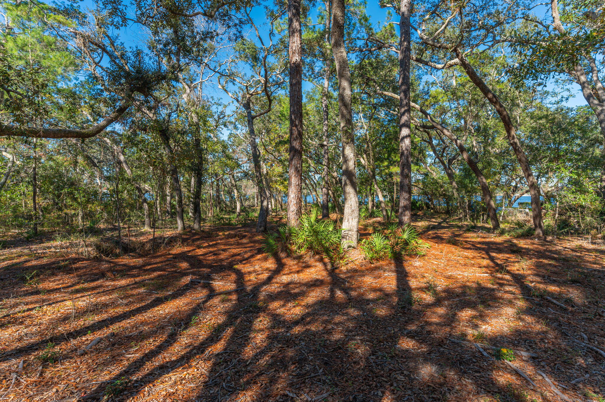1 Acre /- Holly Point Road Freeport, FL 32439 - Photo 17 of 21 IMG_6550