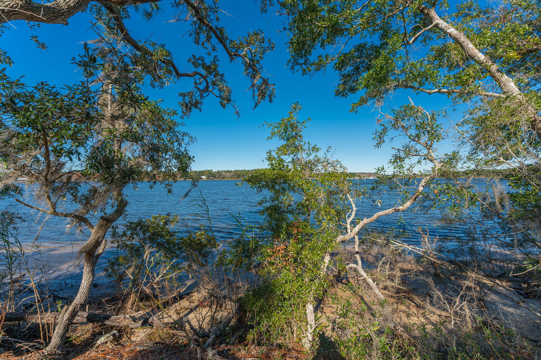 1 Acre /- Holly Point Road Freeport, FL 32439 - Photo 18 of 21 IMG_6554