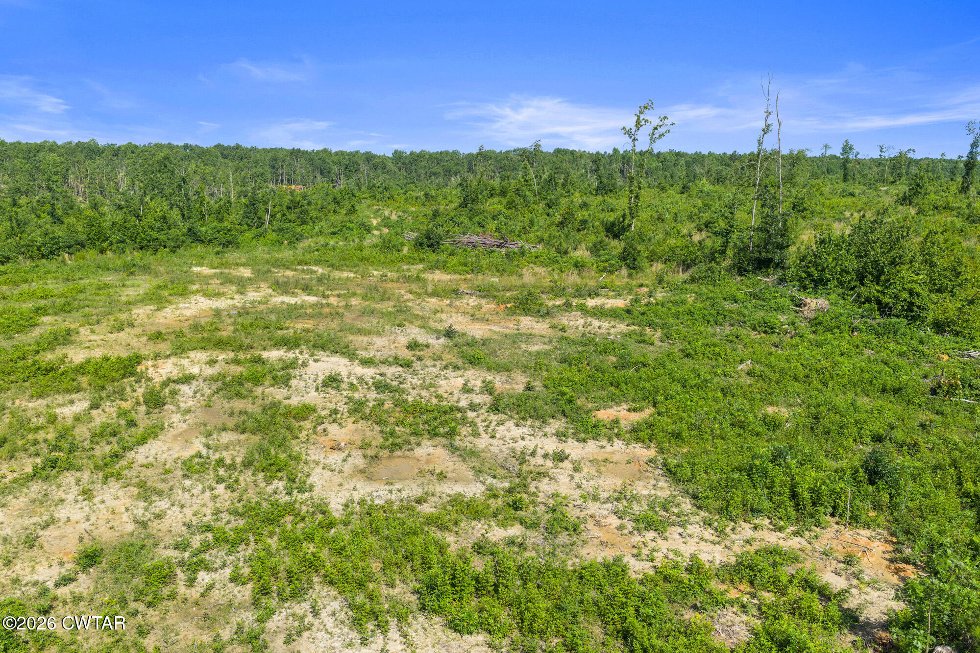0 Coxburg Road Holladay, TN 38341 - Photo 3 of 14 DJI_20260613093044_0051_D