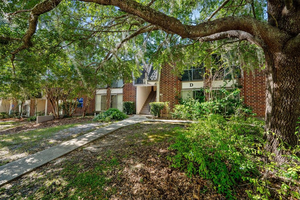 a view of a house with a tree