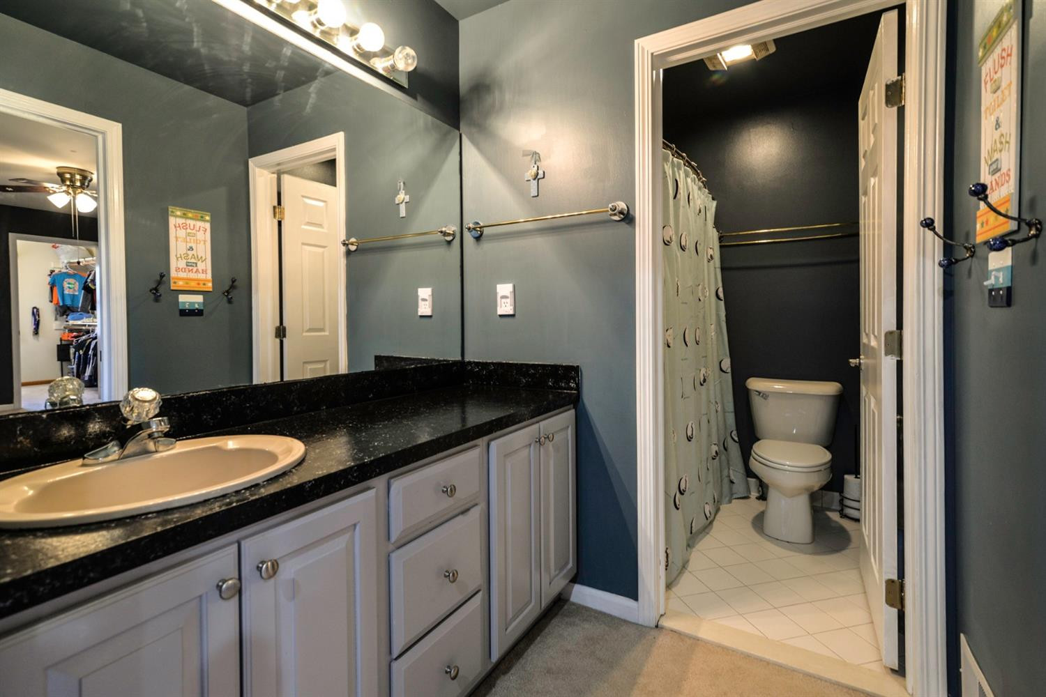 8455 South Ridge Drive Howell, MI 48843 - Photo 46 of 62 Photo 46