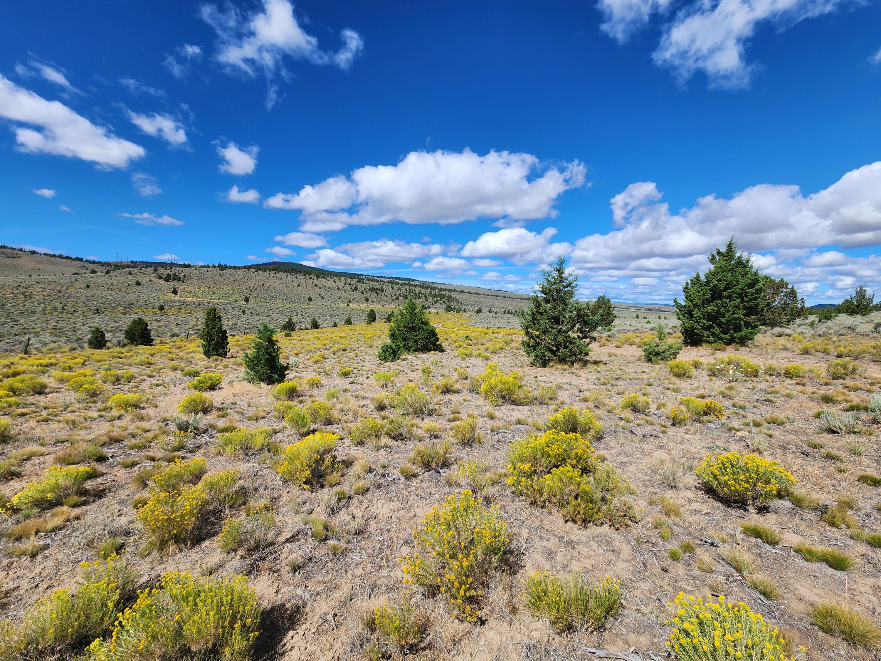 Fox Butte Road Bend, OR 97701 - Photo 27 of 27 20250807_105523