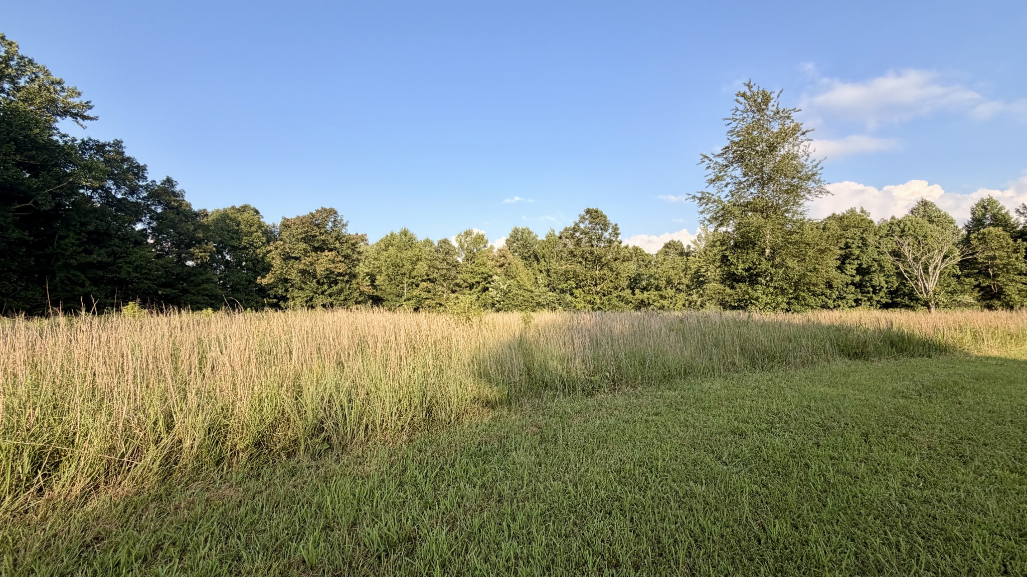 309 Charley Davis Road Goodspring, TN 38460 - Photo 19 of 87 Gallery Image 19