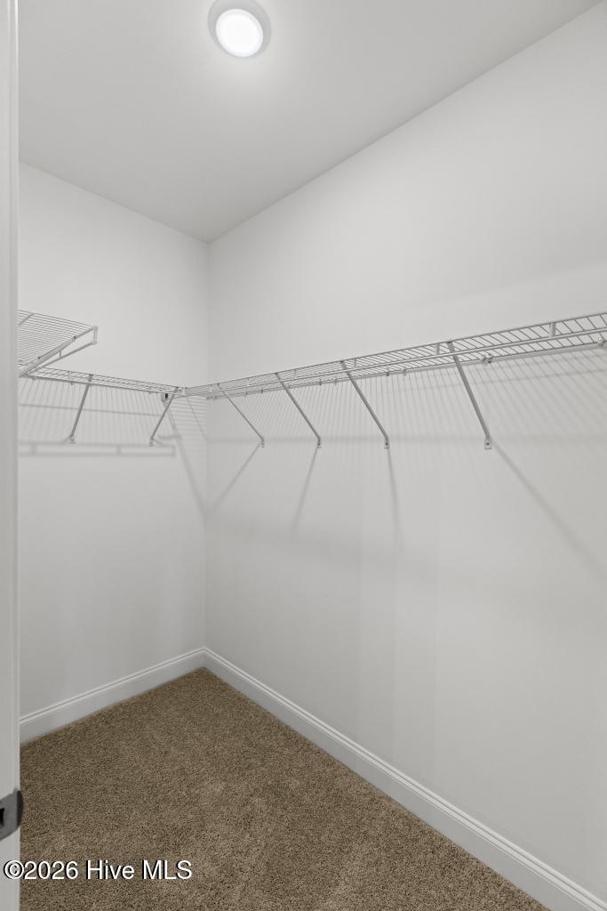 2080 Page Road Burgaw, NC 28425 - Photo 16 of 39 425A8267