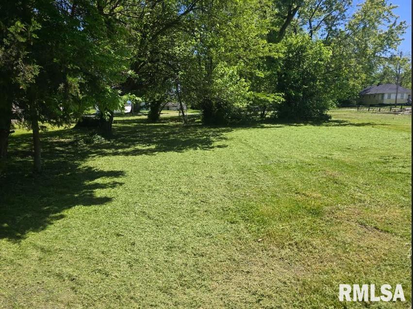 1315 South 12th Street Mount Vernon, IL 62864 - Photo 6 of 8