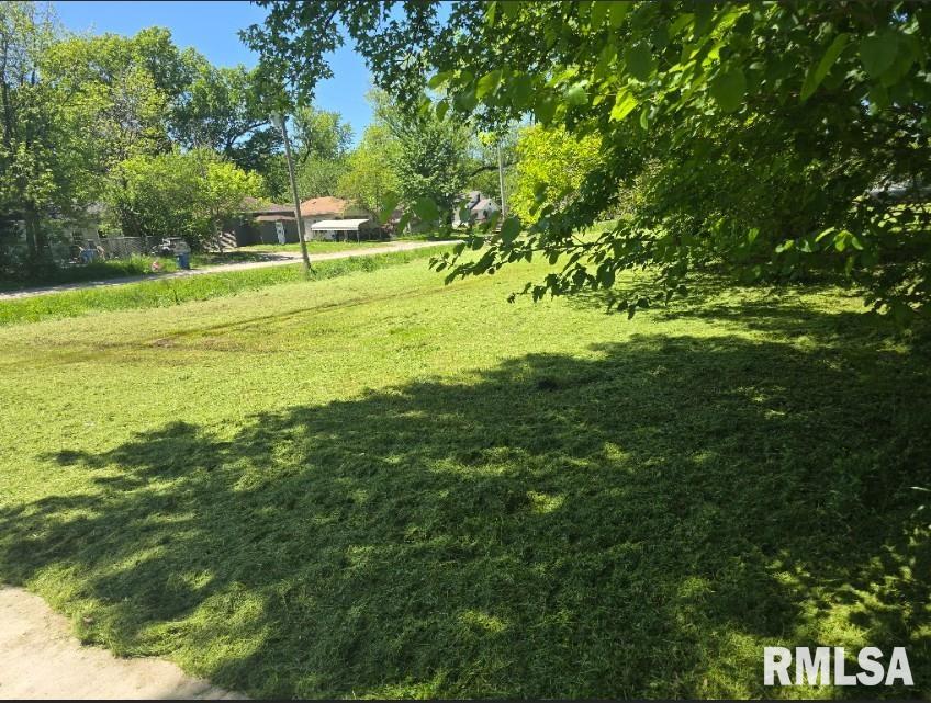 1315 South 12th Street Mount Vernon, IL 62864 - Photo 7 of 8