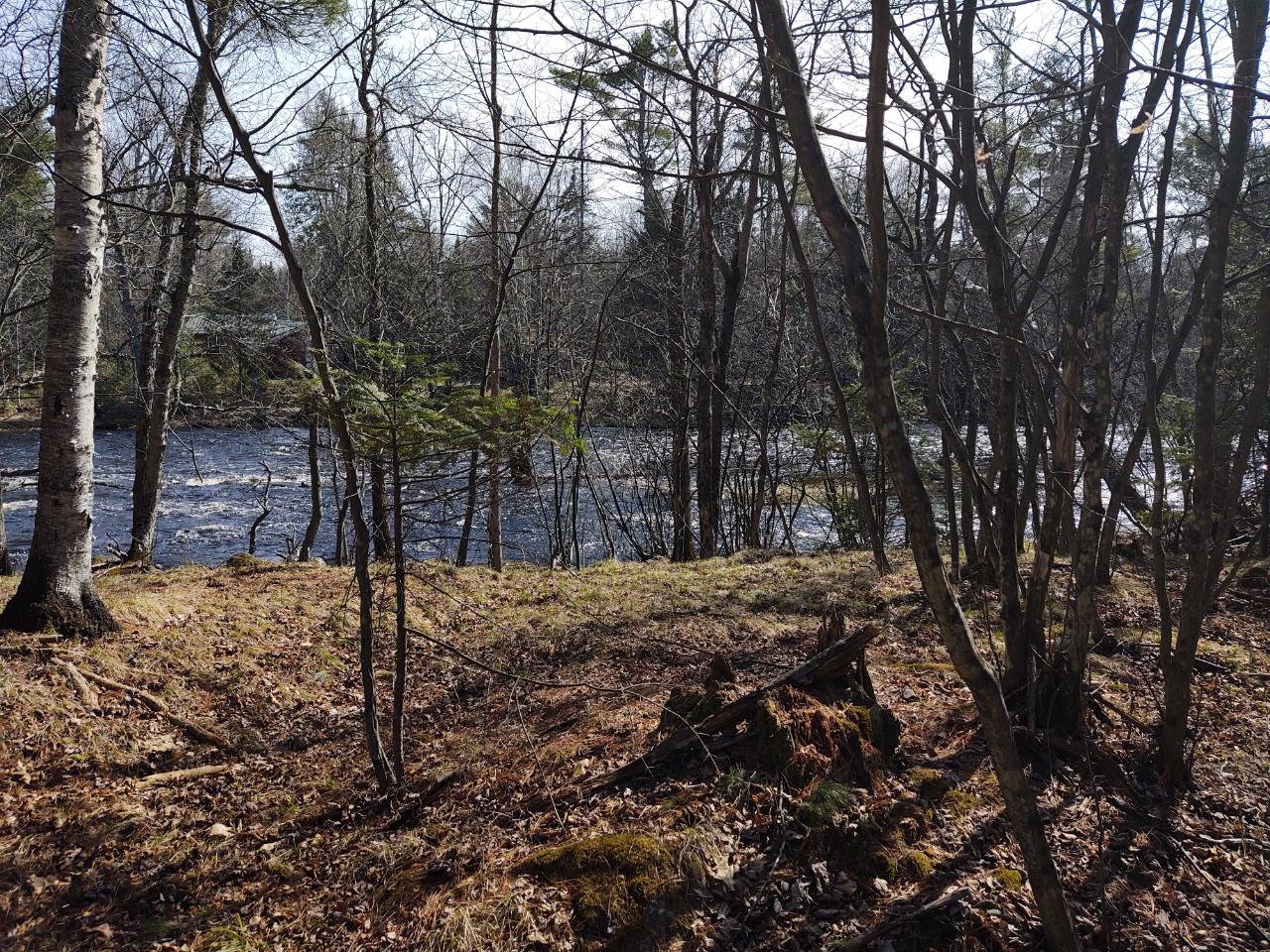 4.8-acre Sweitzer Road Winter, WI 54896 - Photo 7 of 20 Gallery Image 7