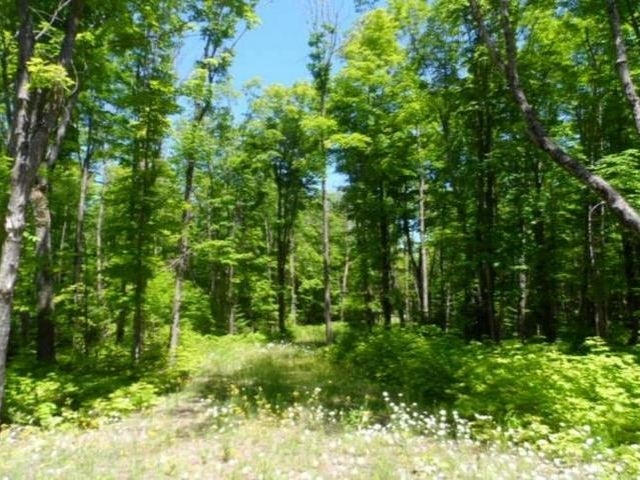 Lot 4 Forest Road Marenisco, MI 49947 - Photo 6 of 9 Gallery Image 6