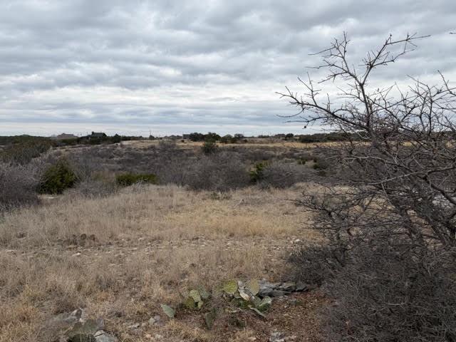 Lot 237 Castle Harbour Loop Graford, TX 76449 - Photo 4 of 6 a view of a dry yard with lots of green space
