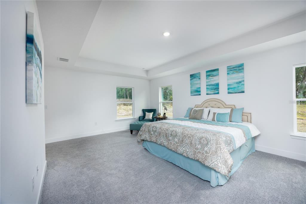 16929 Northwest 176th Way Alachua, FL 32615 - Photo 16 of 35 a spacious bedroom with a bed and window