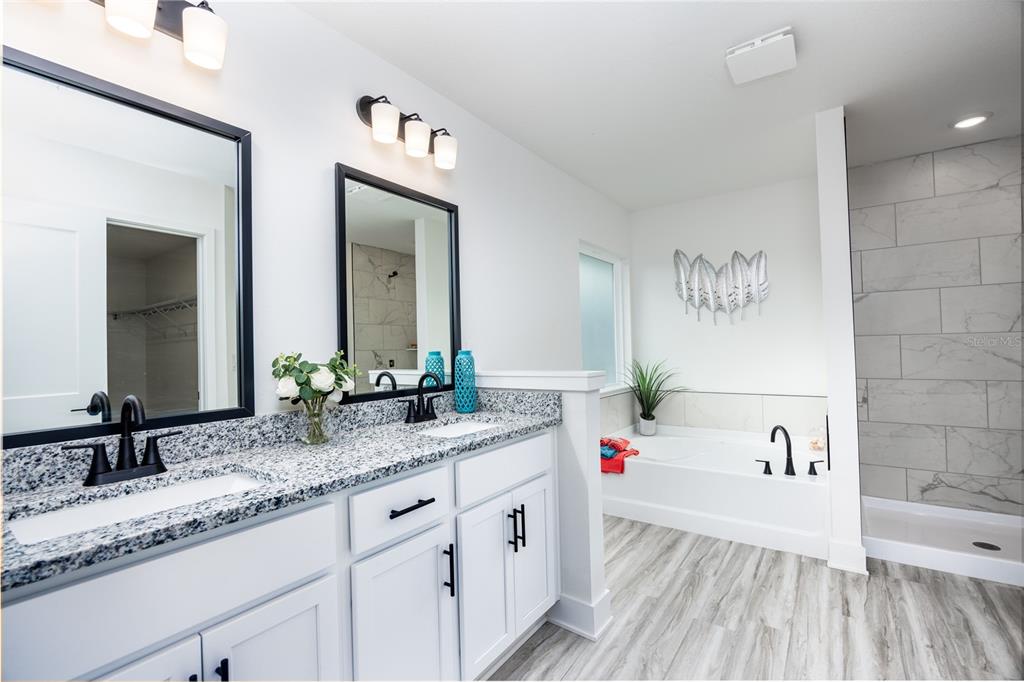 16929 Northwest 176th Way Alachua, FL 32615 - Photo 19 of 35 a bathroom with a tub sink and mirror