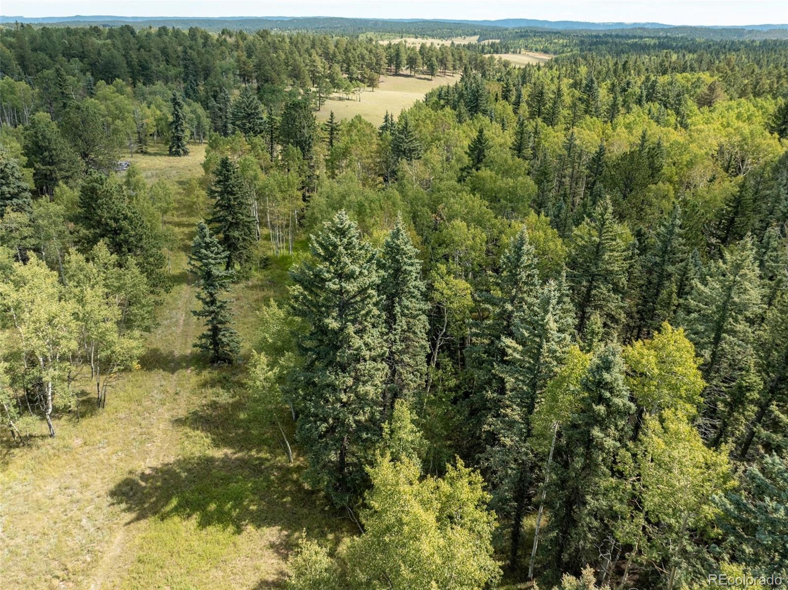 284 County Road 511 Divide, CO 80814 - Photo 45 of 50