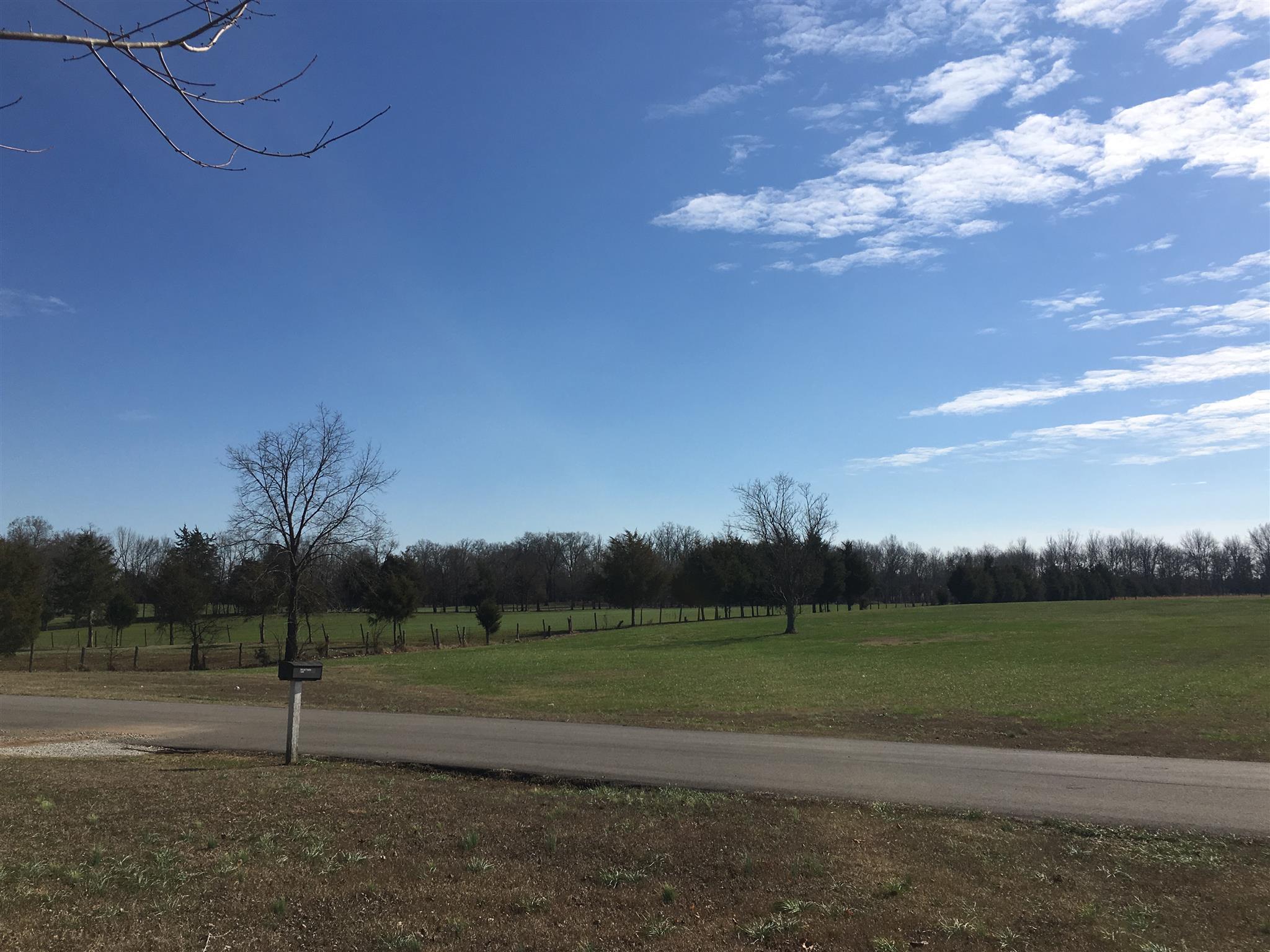 7420 Joe Rowlin Road Christiana, TN 37037 - Photo 6 of 13 a view of a field