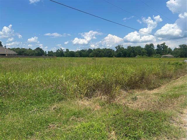 Lot 9 Winfield Road Alexandria, LA 71303 - Photo 4 of 4