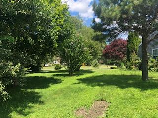 7 Windsor Road Sandwich, MA 02563 - Photo 12 of 21 IMG_2102