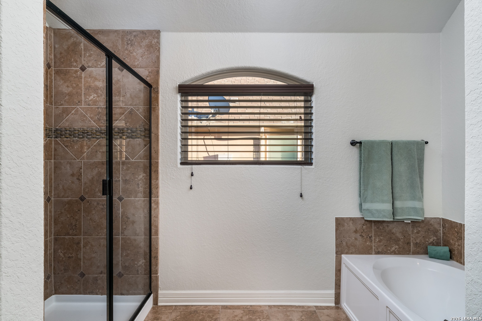 11331 Massive Mount Helotes, TX 78023 - Photo 16 of 31