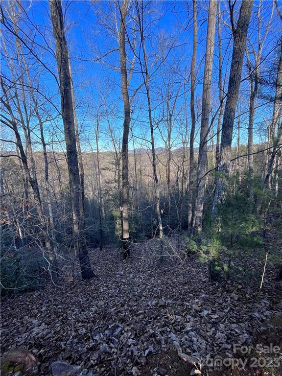 Lot 62 Sweetbriar Rd Lk North  