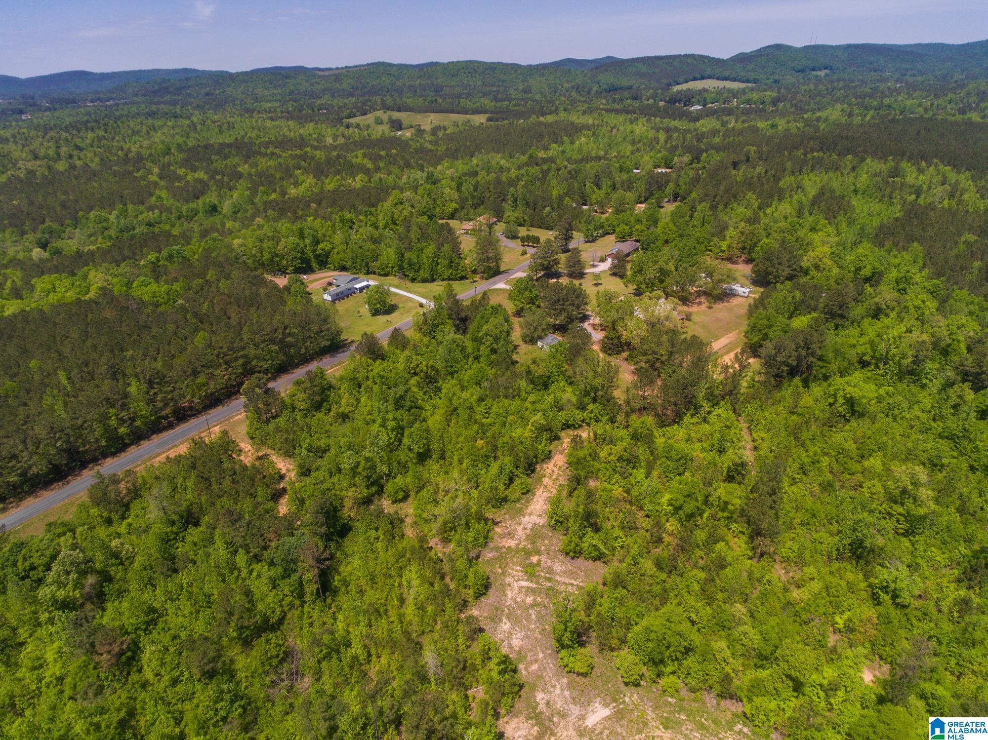 1326 Pine Ridge Road Wellington, AL 36279 - Photo 5 of 15