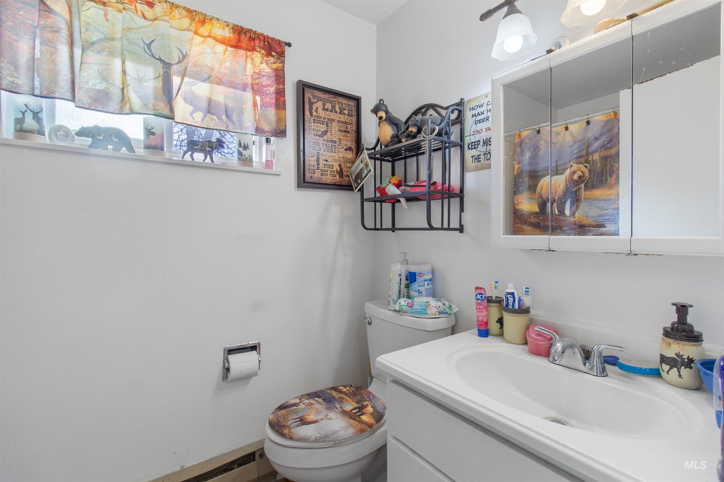 636 Main Street Hansen, ID 83334 - Photo 23 of 37 Bathroom featuring a single vanity with an integrated sink, a wall-mounted medicine cabinet, and a window for natural light
