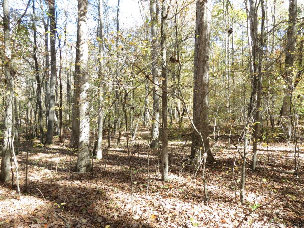 16-ac Cedar Grove Road York, SC 29745 - Photo 2 of 19