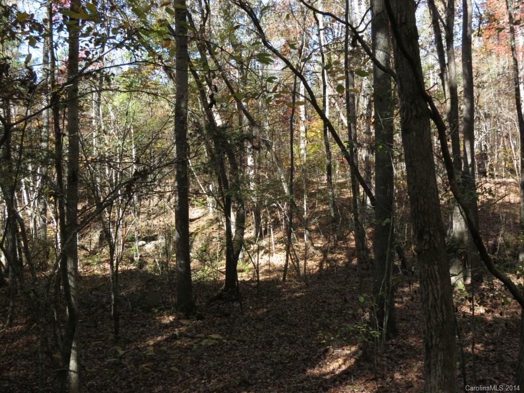 16-ac Cedar Grove Road York, SC 29745 - Photo 12 of 19
