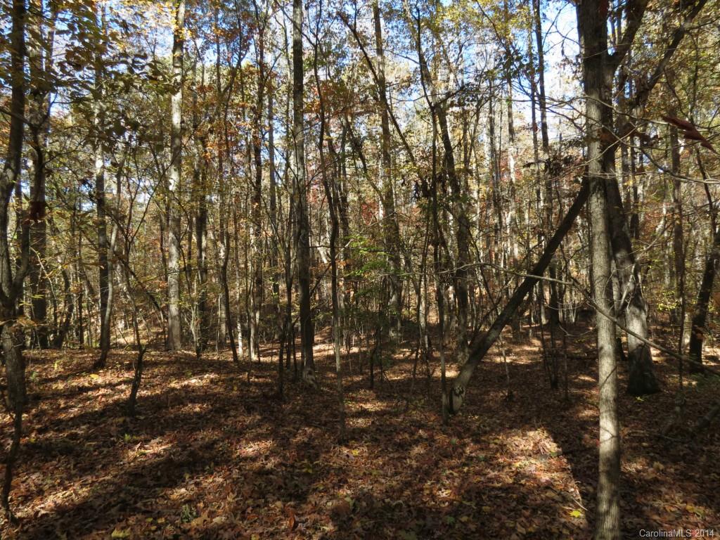 16-ac Cedar Grove Road York, SC 29745 - Photo 13 of 19