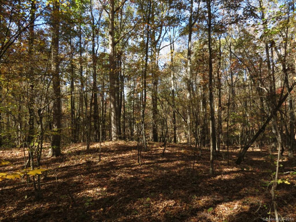 16-ac Cedar Grove Road York, SC 29745 - Photo 14 of 19
