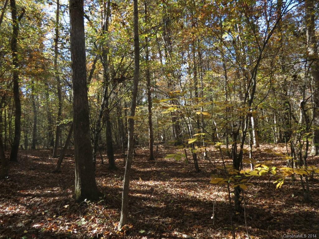 16-ac Cedar Grove Road York, SC 29745 - Photo 15 of 19