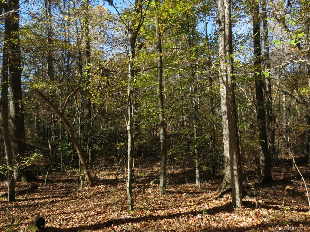 16-ac Cedar Grove Road York, SC 29745 - Photo 16 of 19