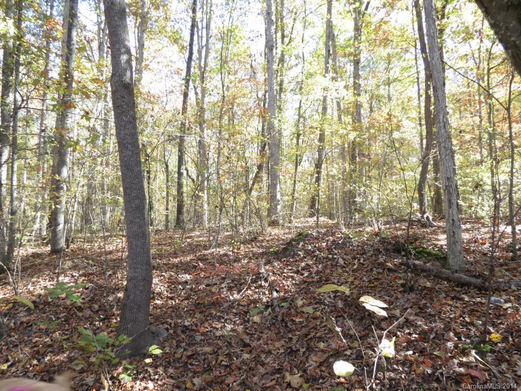 16-ac Cedar Grove Road York, SC 29745 - Photo 19 of 19