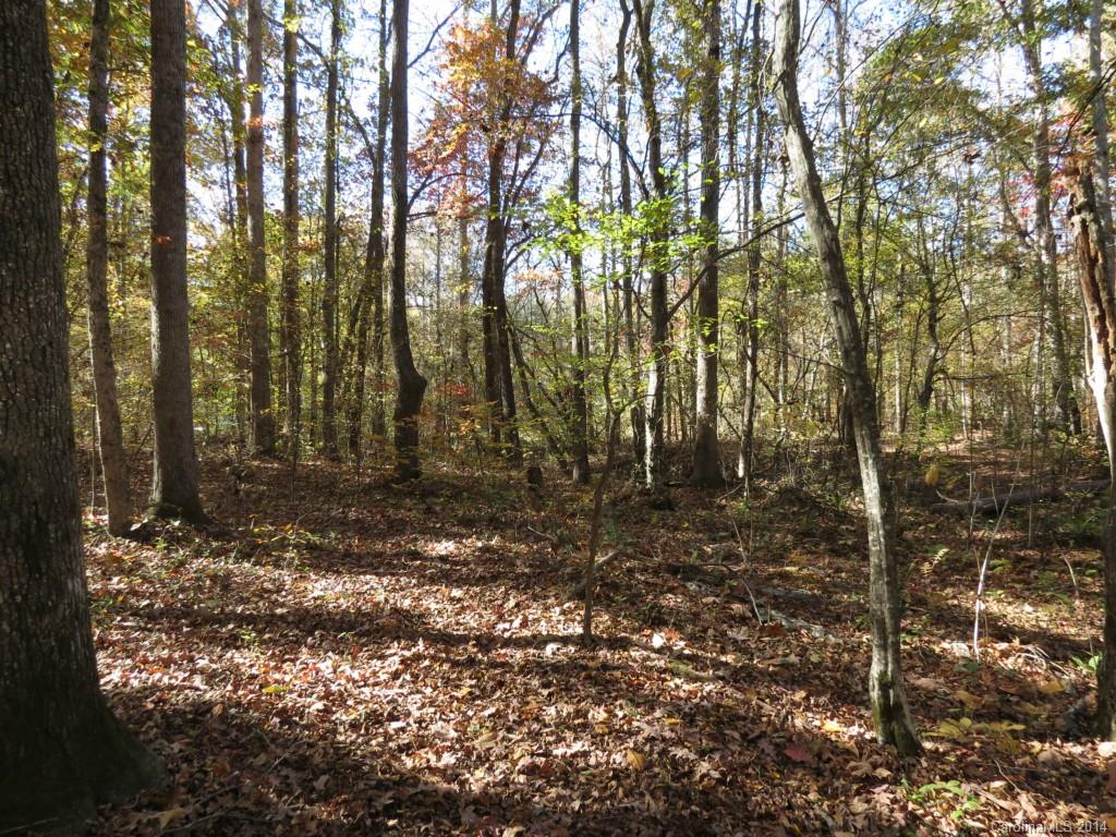 16-ac Cedar Grove Road York, SC 29745 - Photo 4 of 19