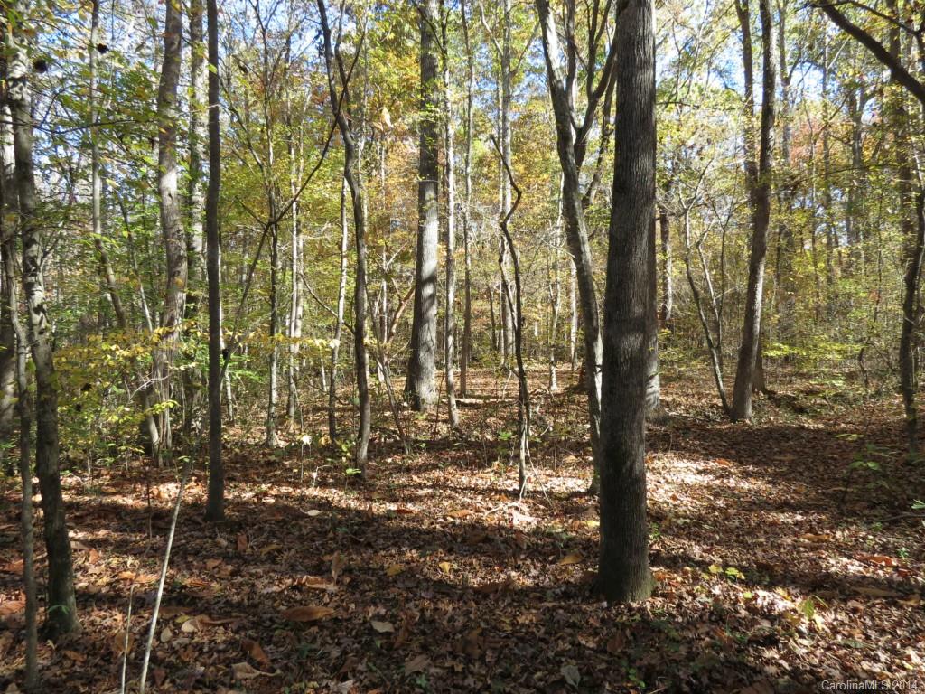 16-ac Cedar Grove Road York, SC 29745 - Photo 5 of 19