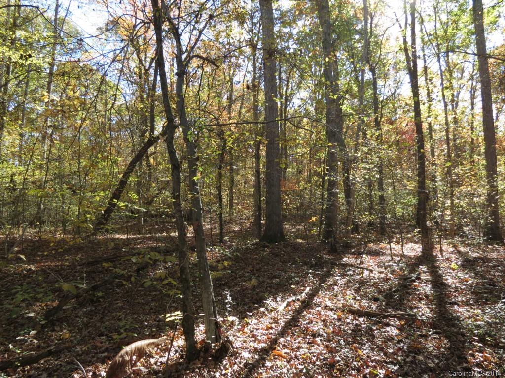 16-ac Cedar Grove Road York, SC 29745 - Photo 6 of 19