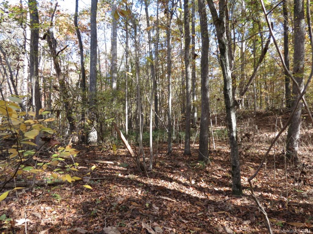 16-ac Cedar Grove Road York, SC 29745 - Photo 9 of 19