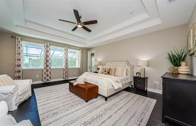 a view of a park with large trees