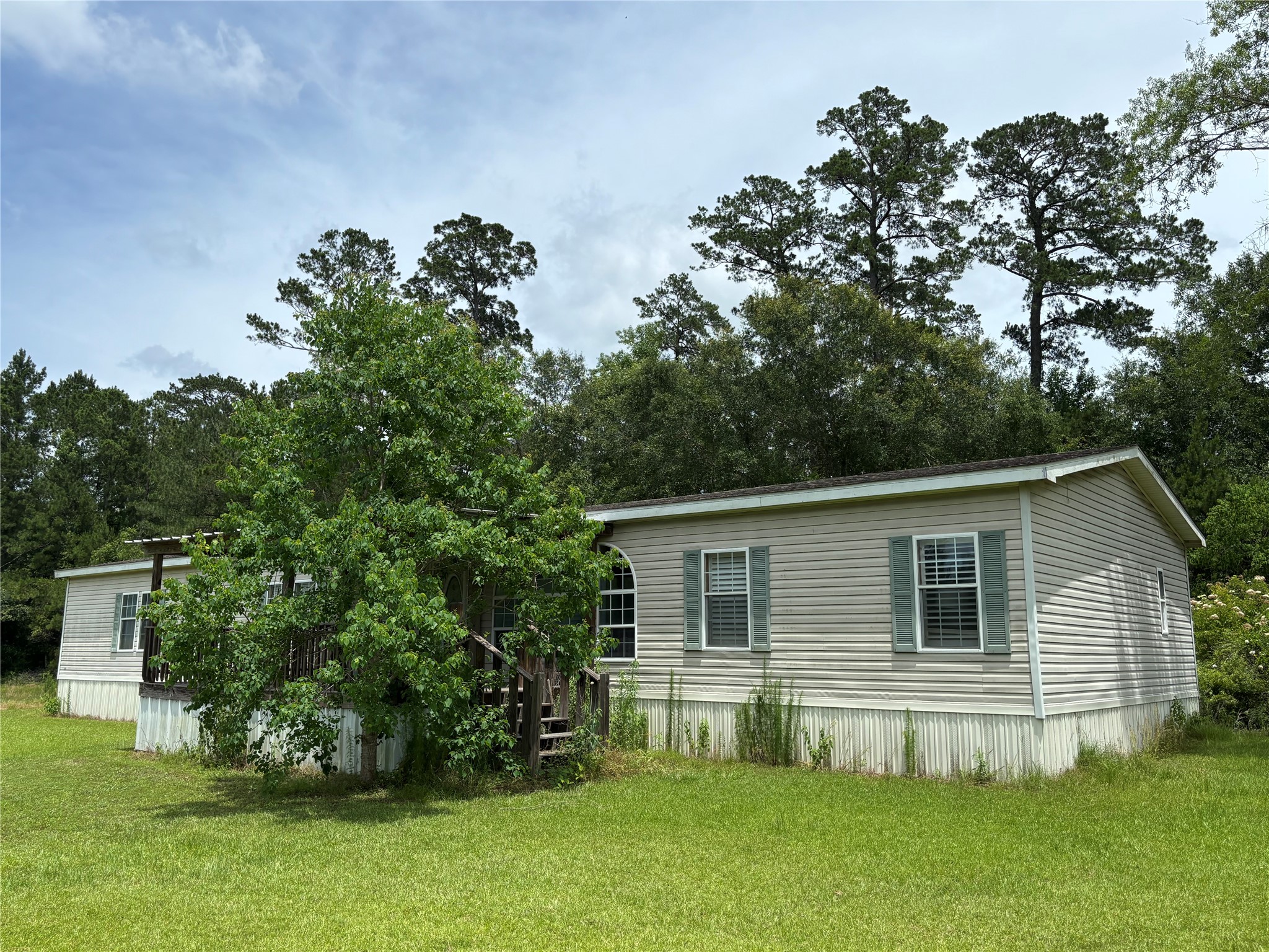 35599 State Highway South Buna, TX 77612 - Photo 9 of 40 a backyard of a house with lots of green space