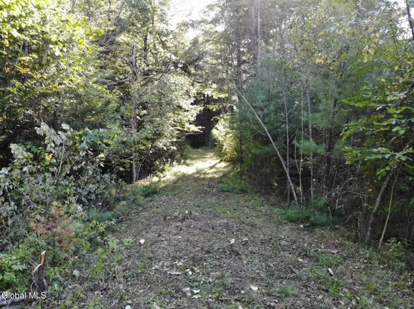 $139,900 | L8 Wrights Farm Road, Northville, NY 12134
